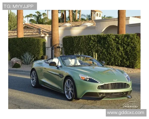 足球明星们的豪车选择卡宴成众多球员的爱车之选